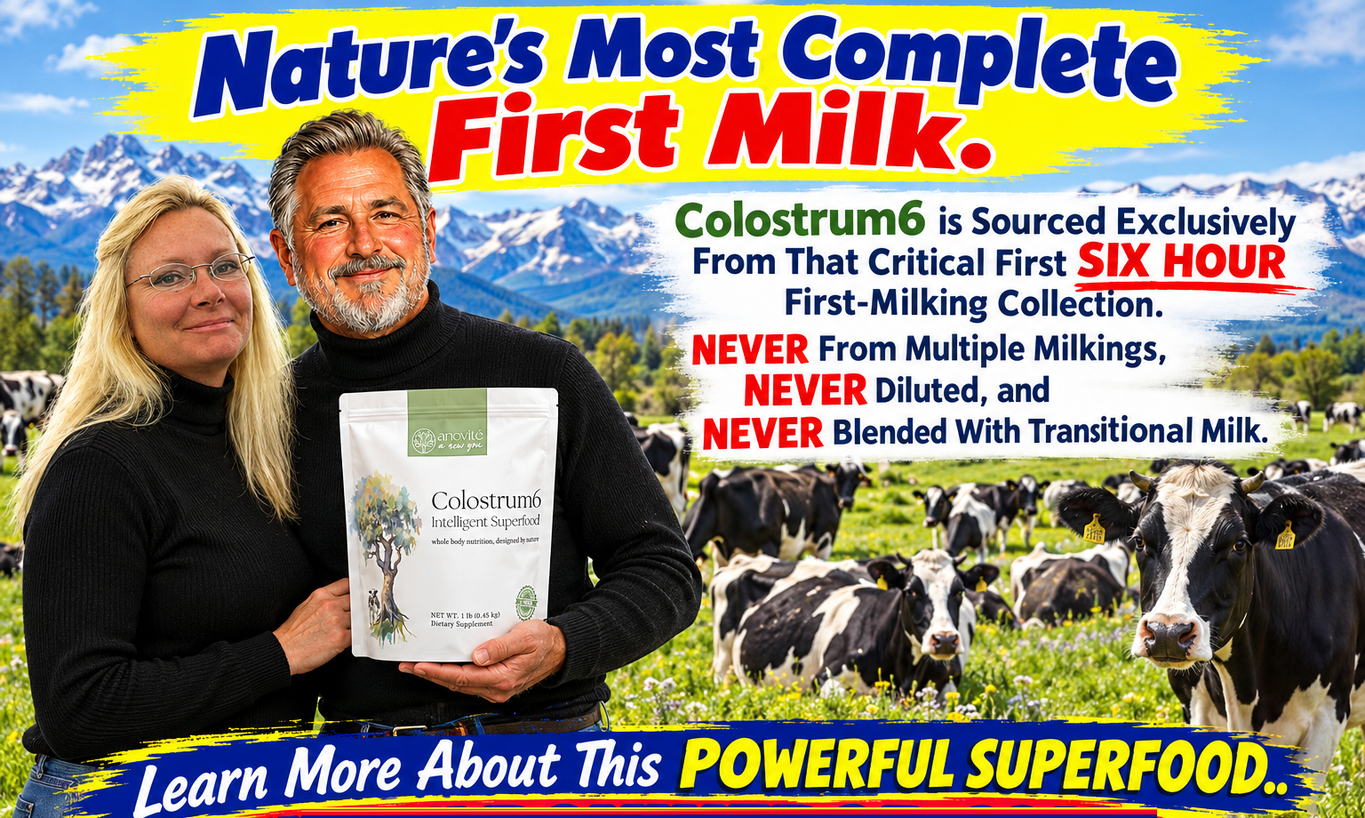 Interest in bovine colostrum has expanded beyond early life nutrition because researchers have explored its nutritional composition in relation to gut health, exercise recovery, immune function and metabolic processes. At the same time, it is important to interpret these findings carefully. Much of the research involves specific populations, animal models, controlled studies or particular forms of supplementation, so findings should not automatically be treated as universal outcomes for human use.